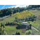 Properties for Sale_Farmhouses to restore_Ruin and an agricultural accessory for sale in Le Marche_13
